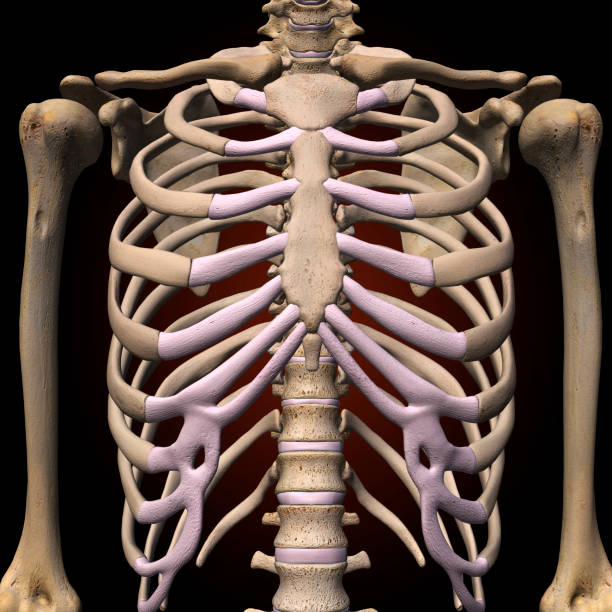 ist